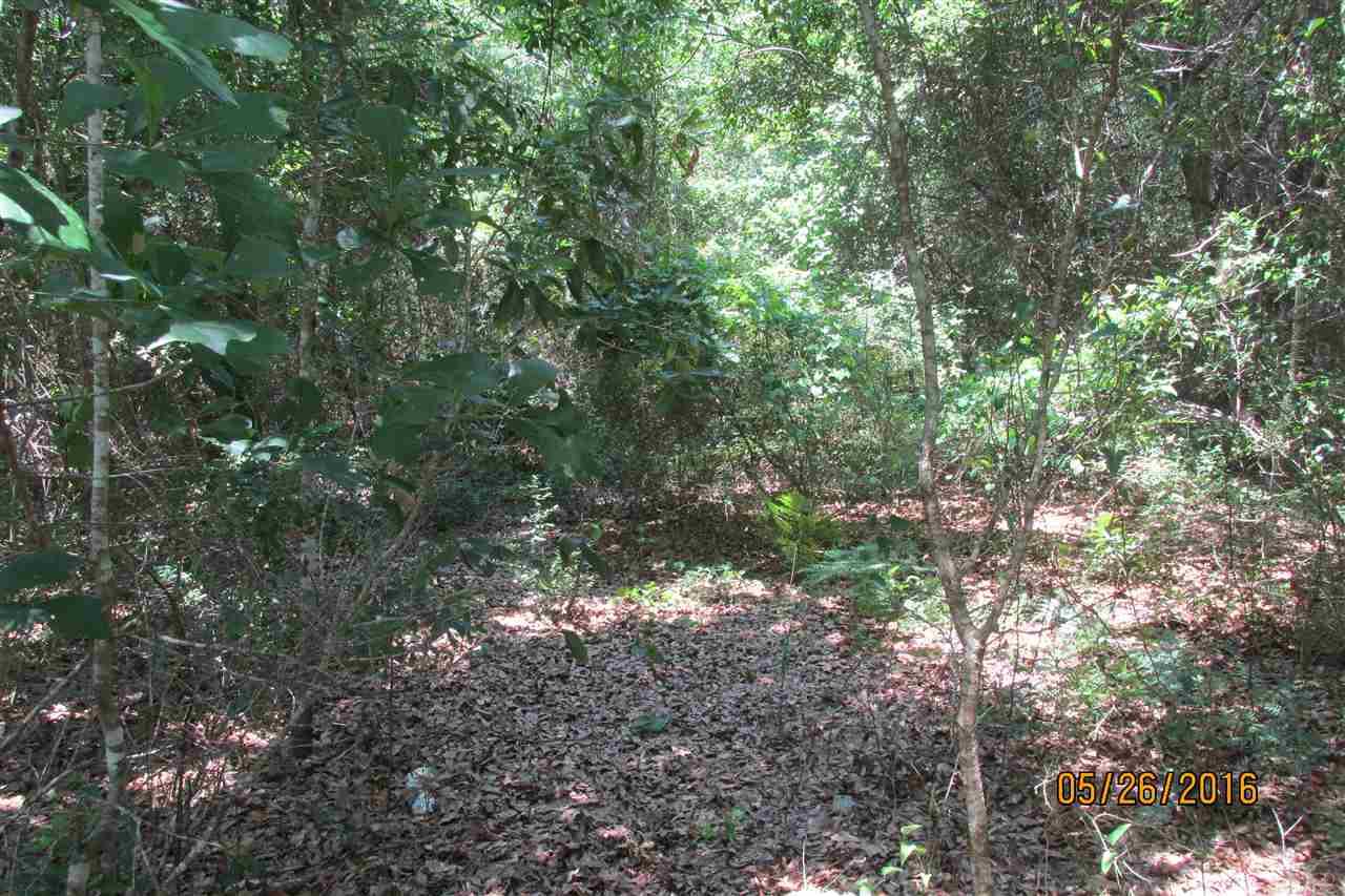 00 CORA ST, Milton, FL 32570
