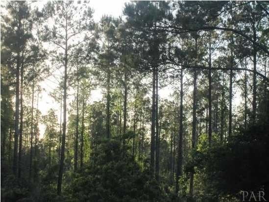 G RANCHERS COVE TRL, Milton, FL 32570