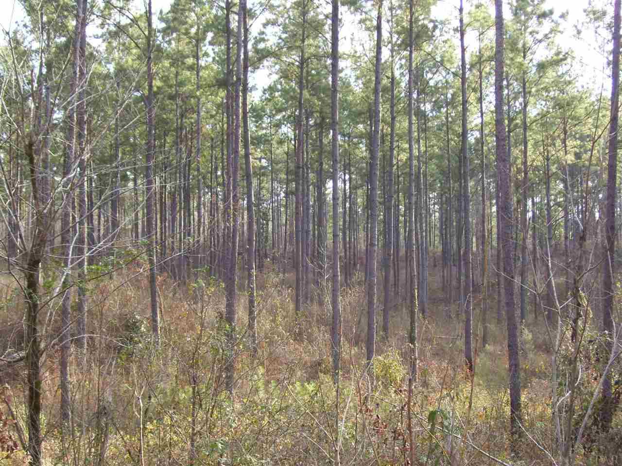 A RANCHERS COVE TRL, Milton, FL 32570