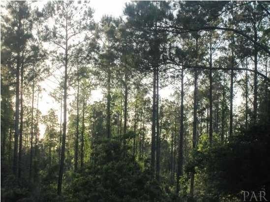 C RANCHERS COVE TRL, Milton, FL 32570