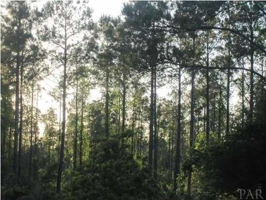M RANCHERS COVE TRL, Milton, FL 32570