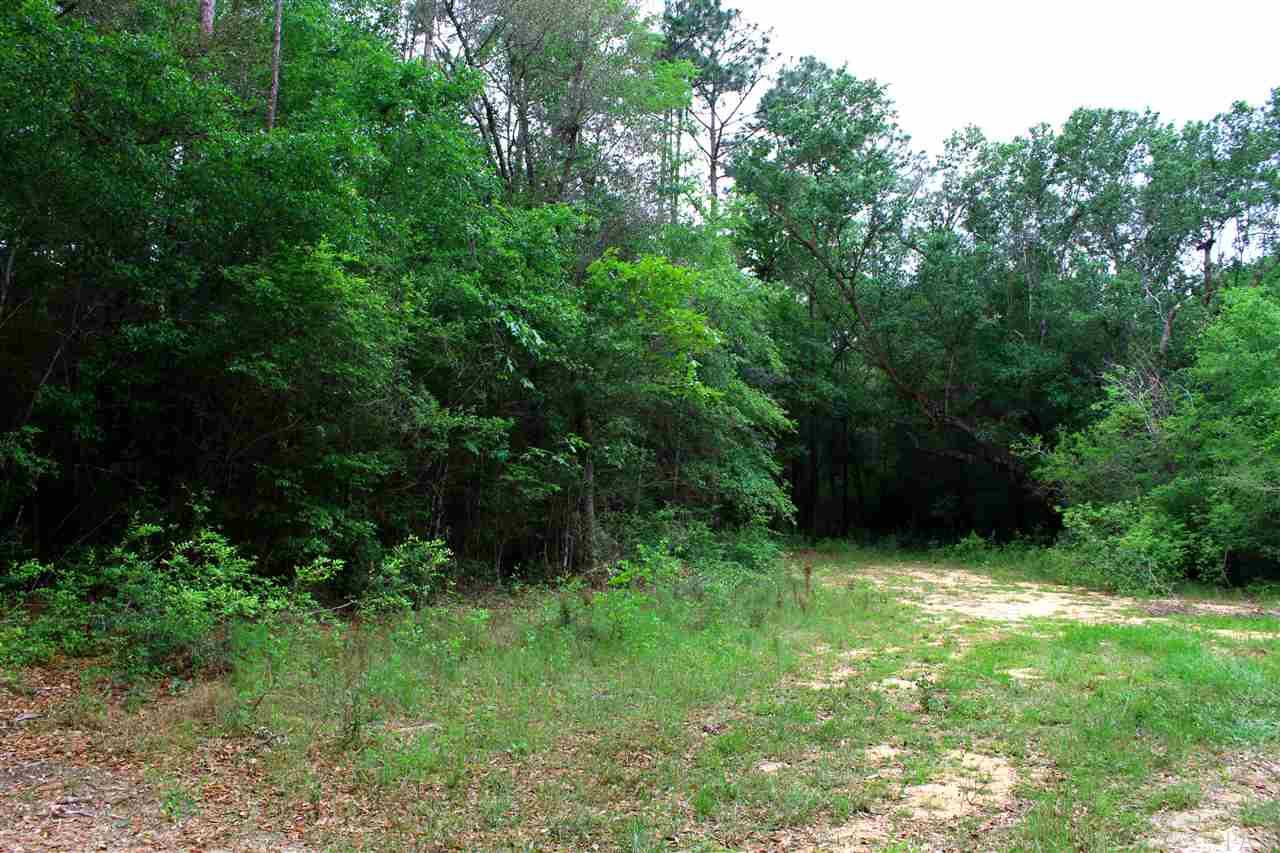 000 HAMILTON BRIDGE RD, Pace, FL 32570