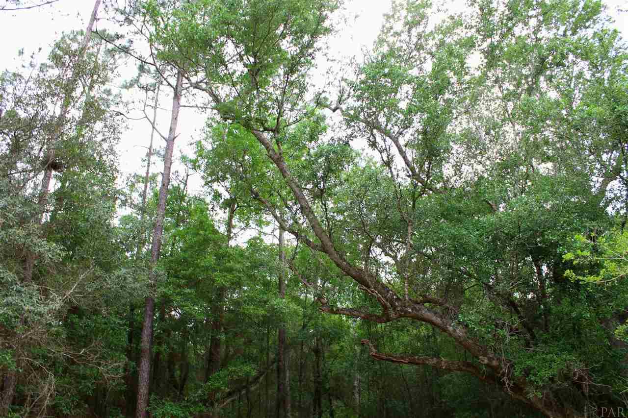 000 HAMILTON BRIDGE RD, Pace, FL 32570