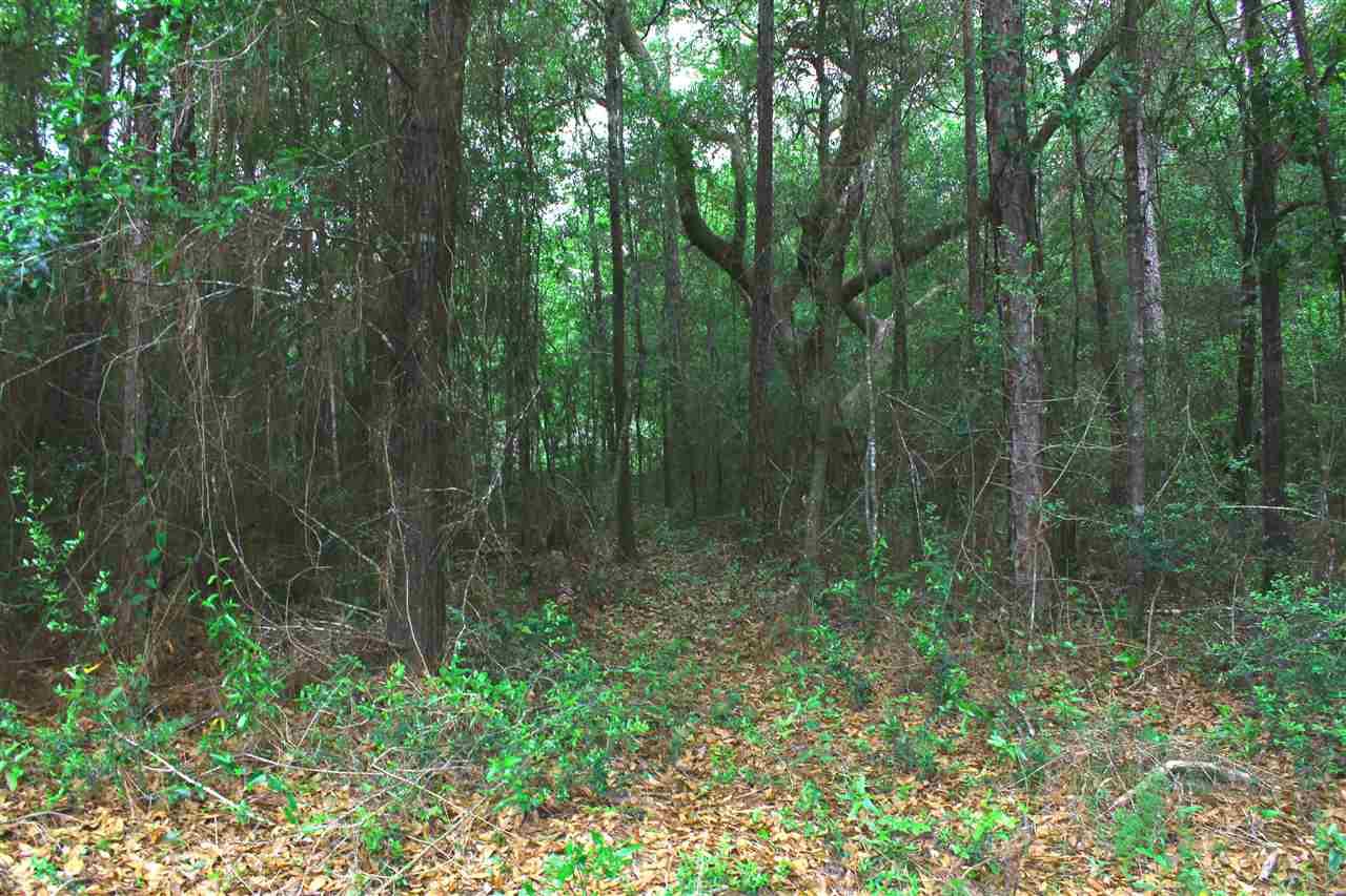 000 HAMILTON BRIDGE RD, Pace, FL 32570