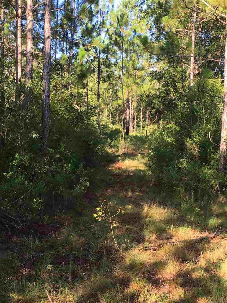7895 T D GARRETT RD, Milton, FL 32570