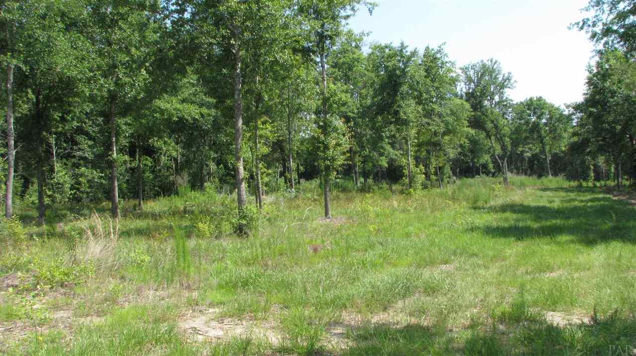 9180 CHUMUCKLA HWY, Pace, FL 32571