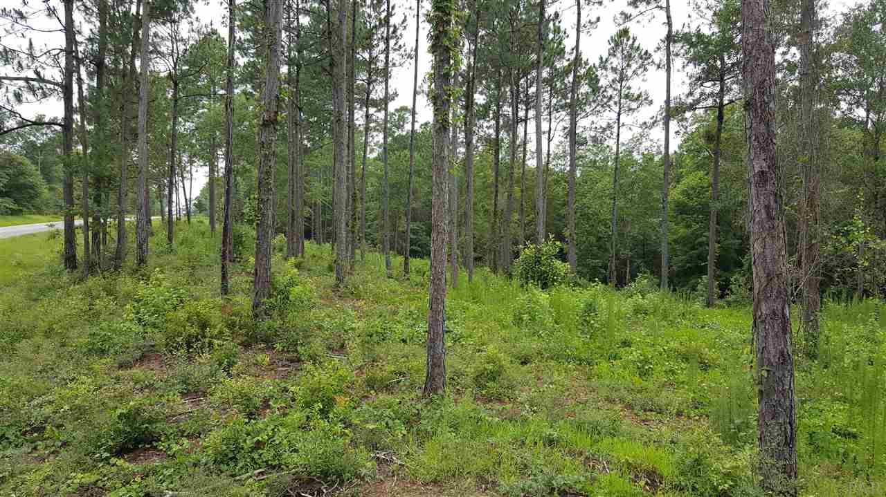 605 BLK HWY 196, Molino, FL 32577