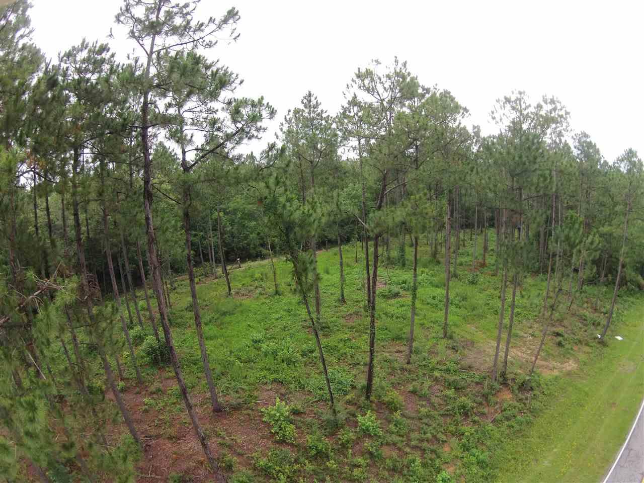 605 BLK HWY 196, Molino, FL 32577