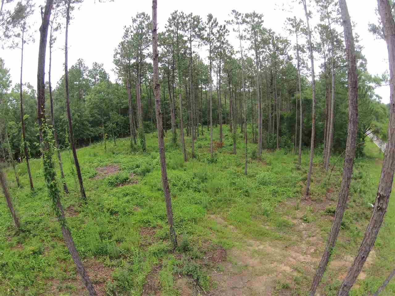 605 BLK HWY 196, Molino, FL 32577