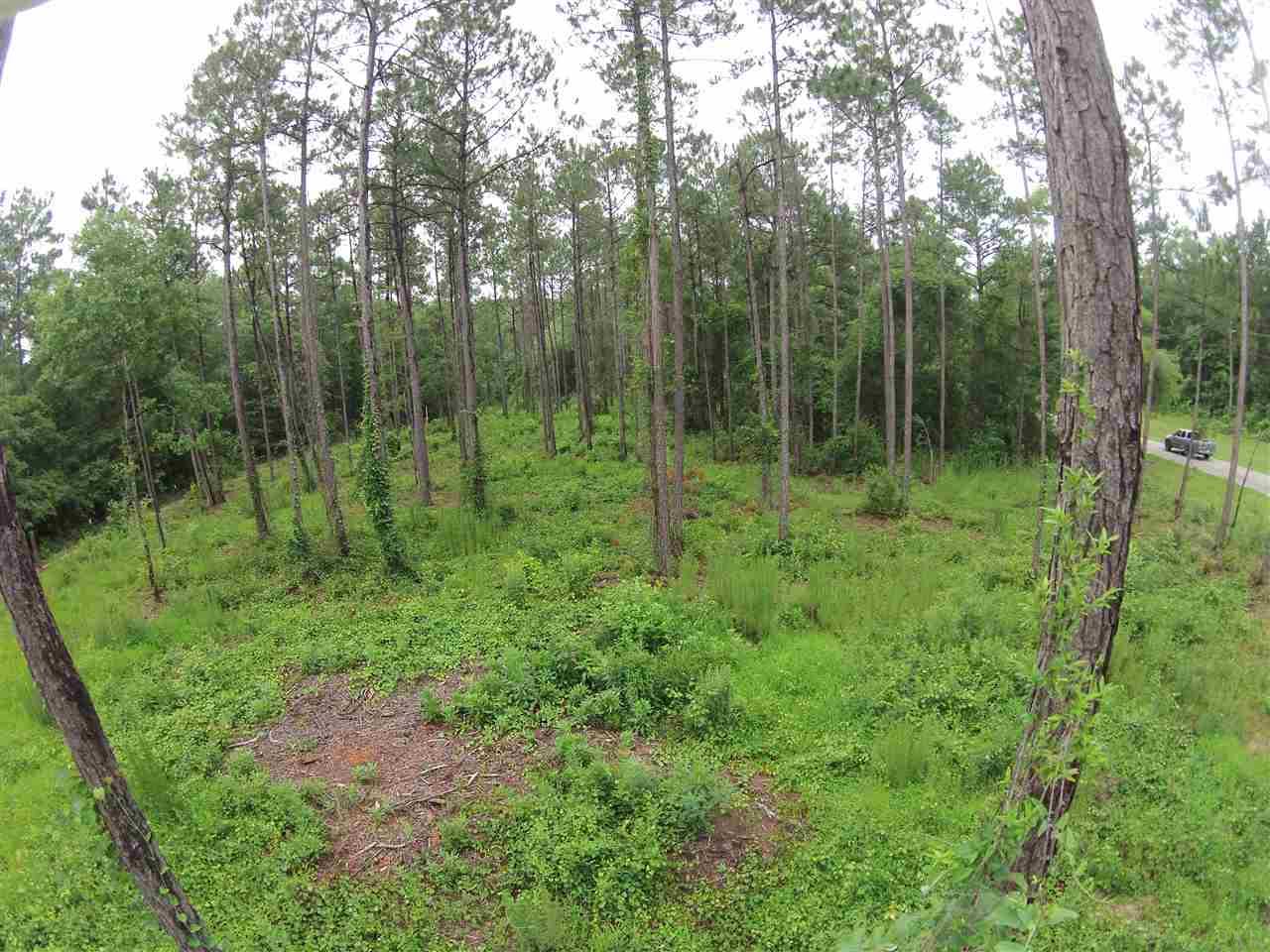 605 BLK HWY 196, Molino, FL 32577