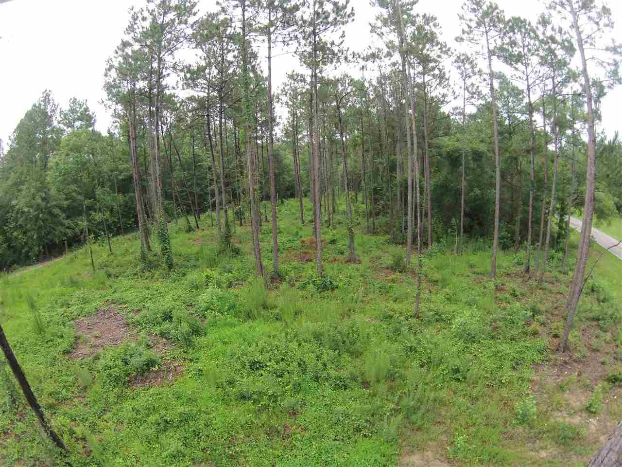 604 BLK HWY 196, Molino, FL 32577