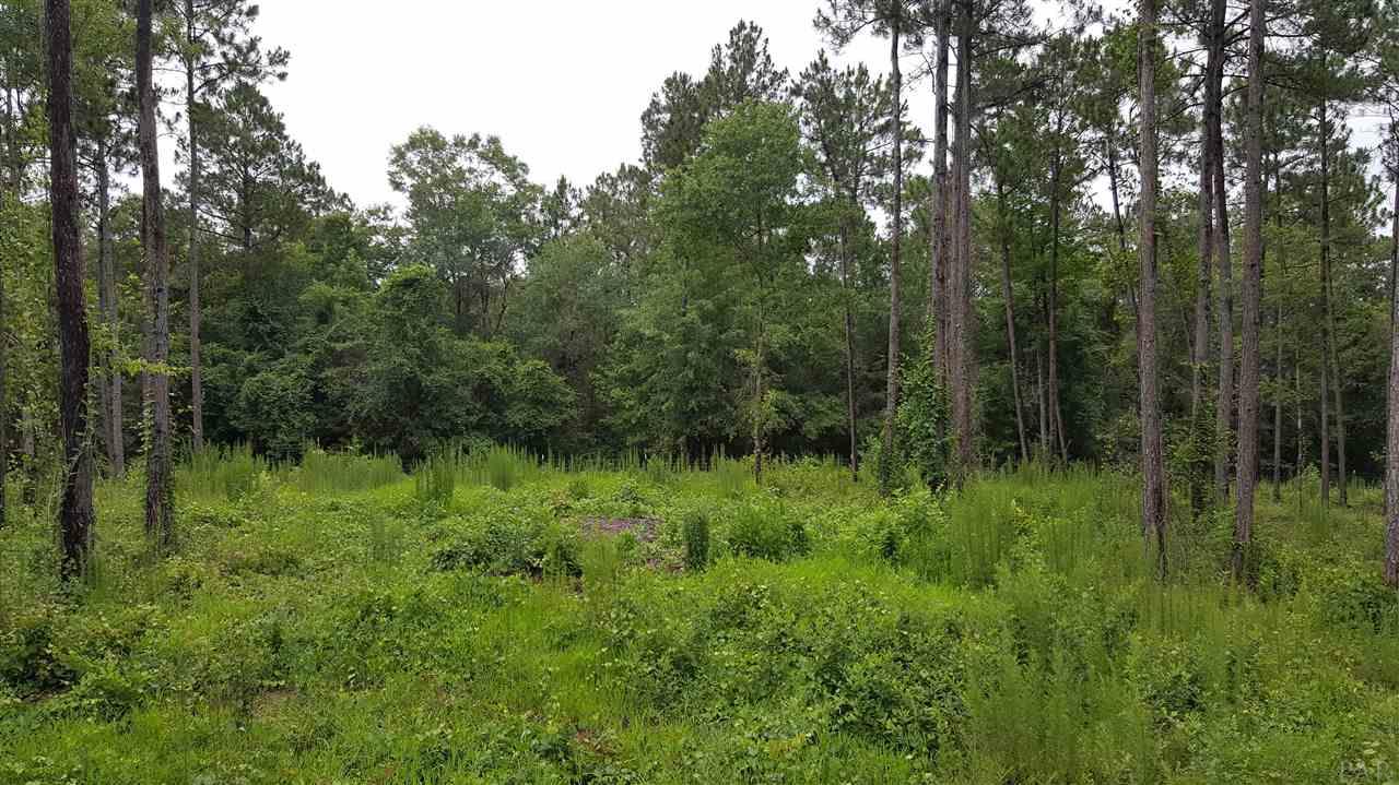 604 BLK HWY 196, Molino, FL 32577