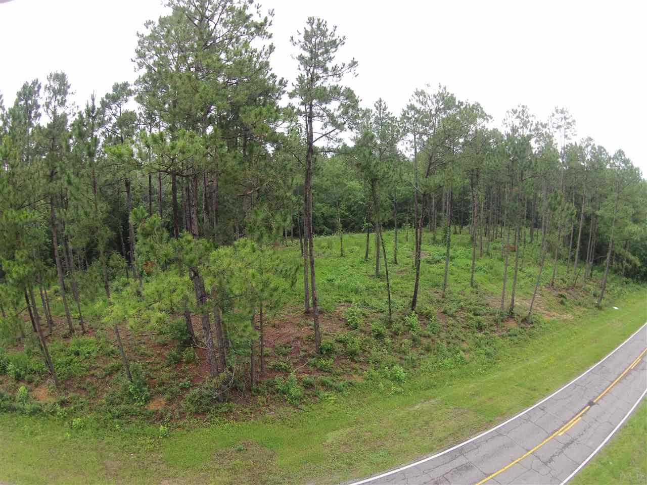 604 BLK HWY 196, Molino, FL 32577