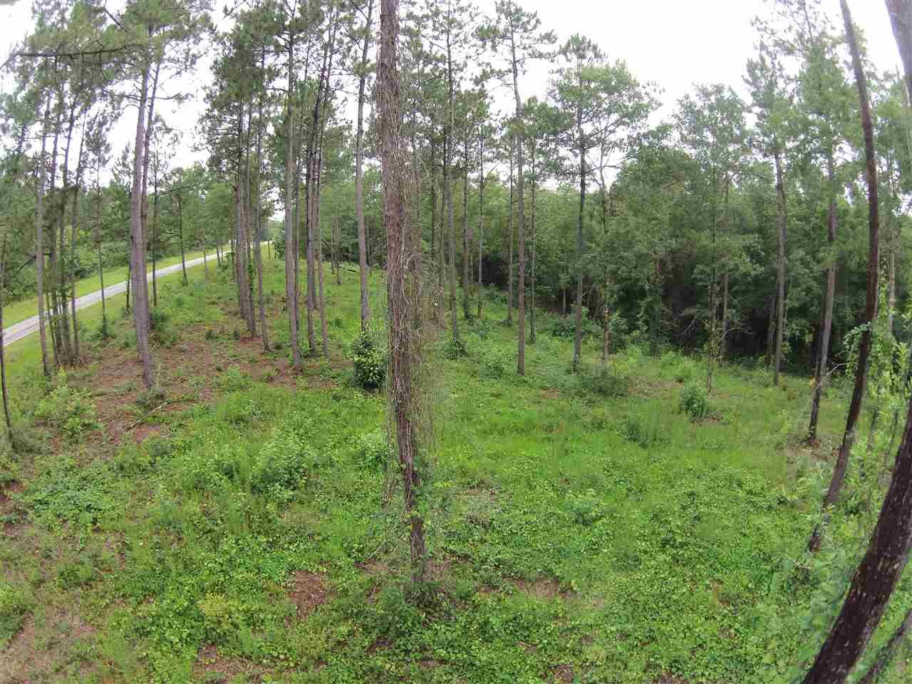 604 BLK HWY 196, Molino, FL 32577