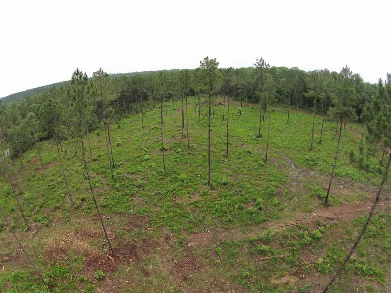 600 BLK HWY 196, Molino, FL 32577