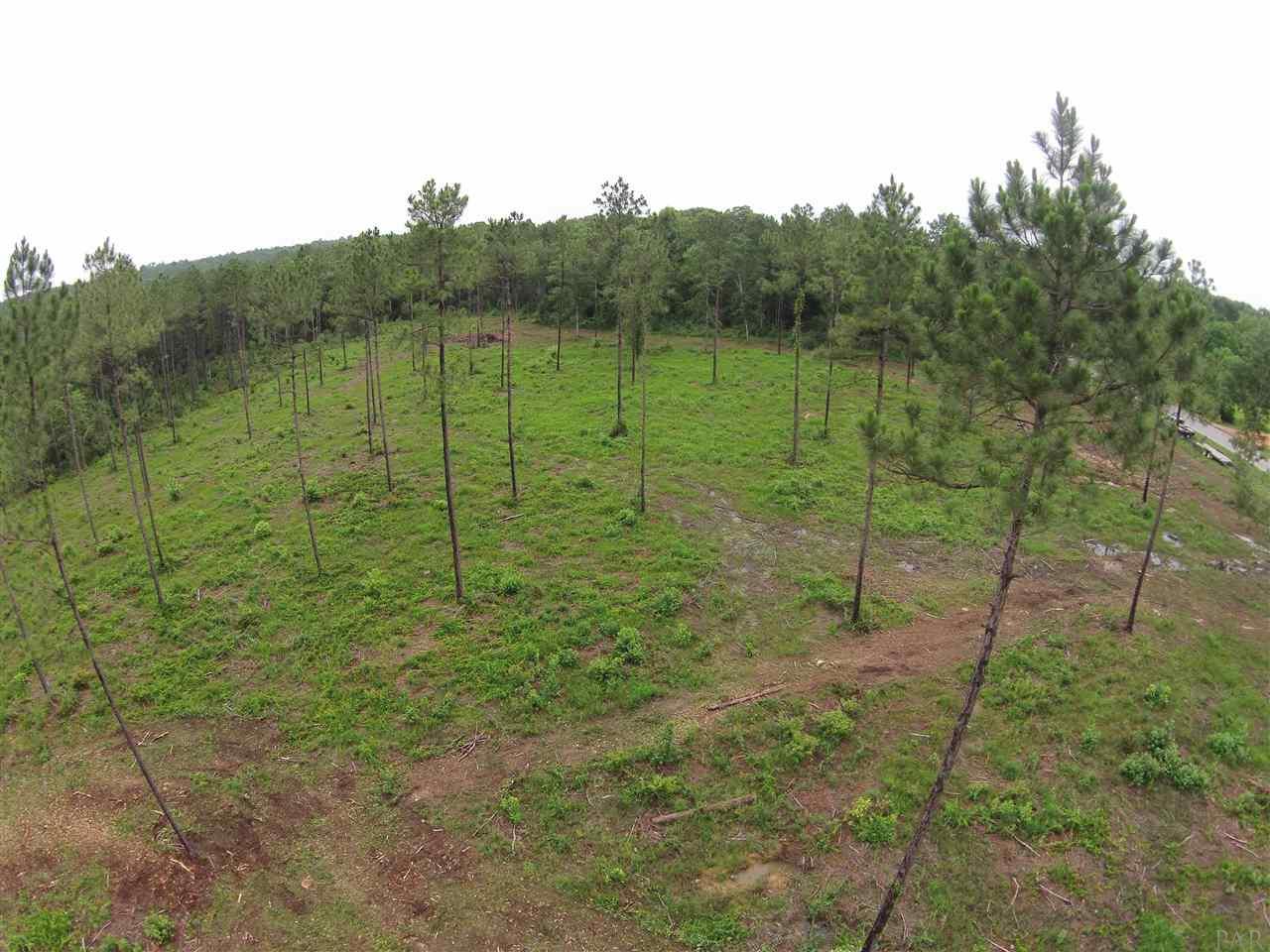 600 BLK HWY 196, Molino, FL 32577