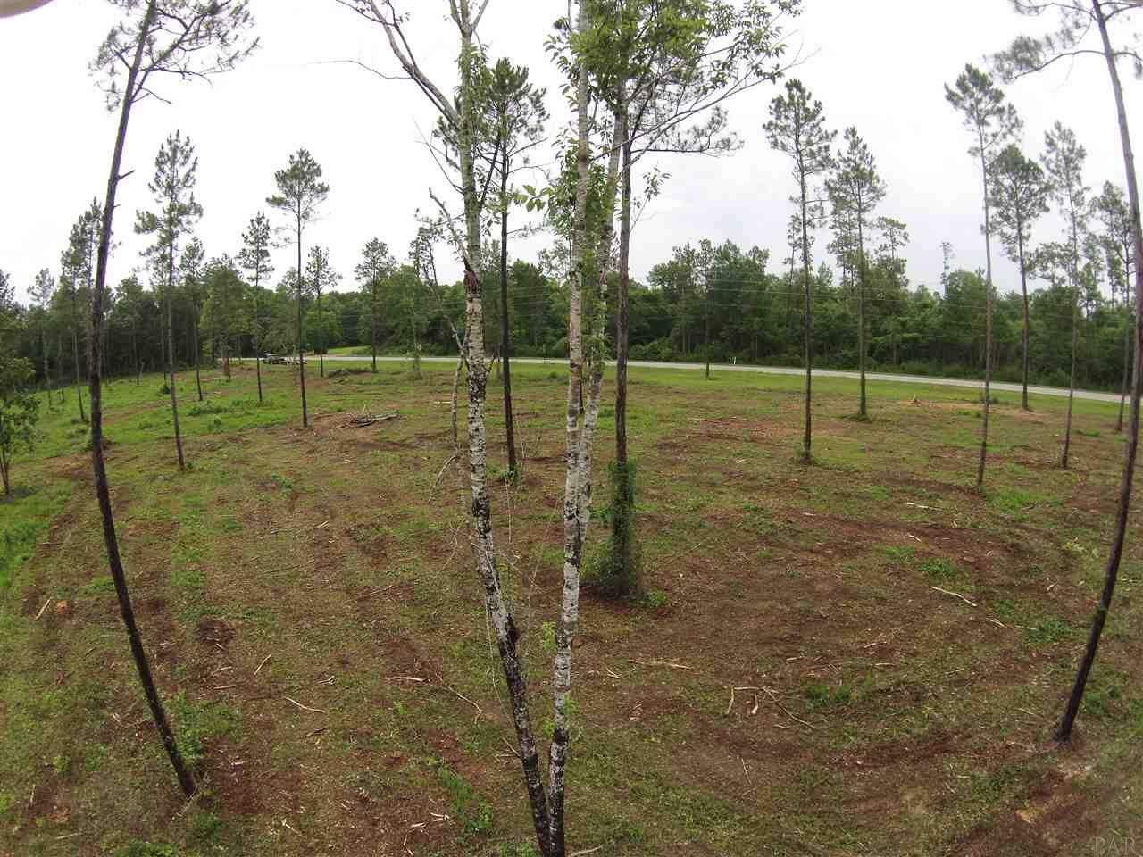 600 BLK HWY 196, Molino, FL 32577