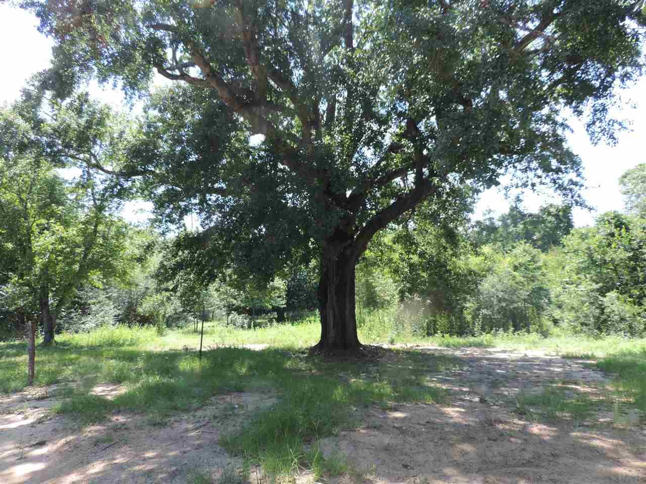 9090 N Hwy 29, Molino, FL 32577