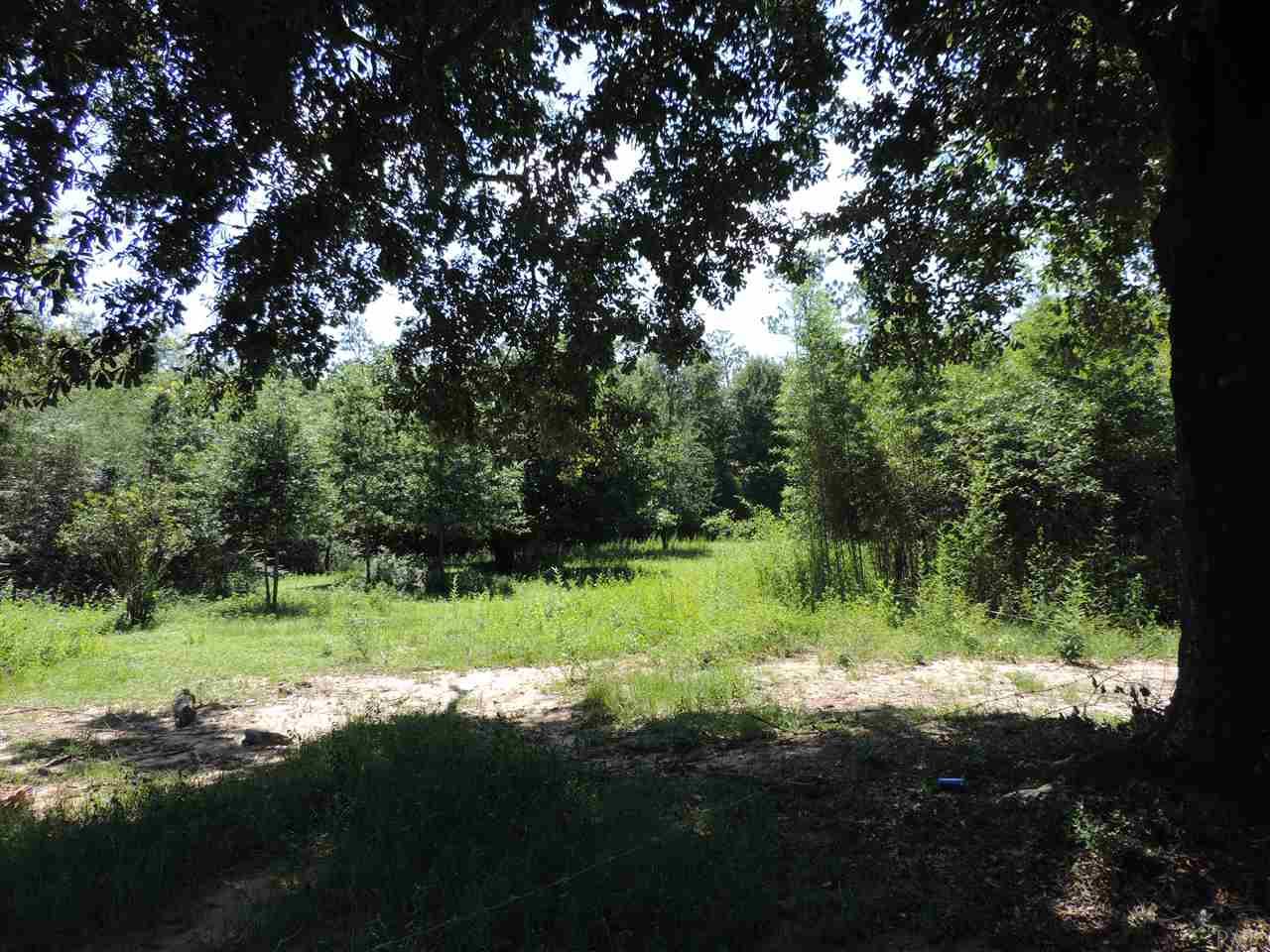 9090 N Hwy 29, Molino, FL 32577