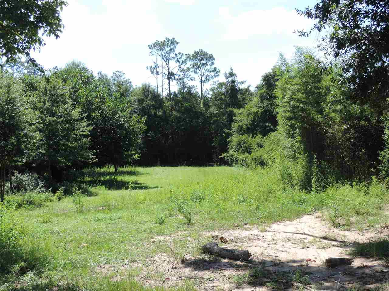 9090 N Hwy 29, Molino, FL 32577