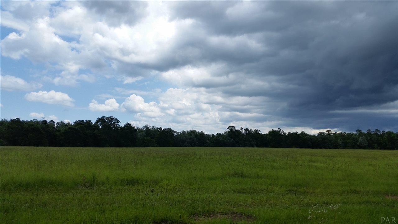 0 SCHAAG RD, Molino, FL 32577