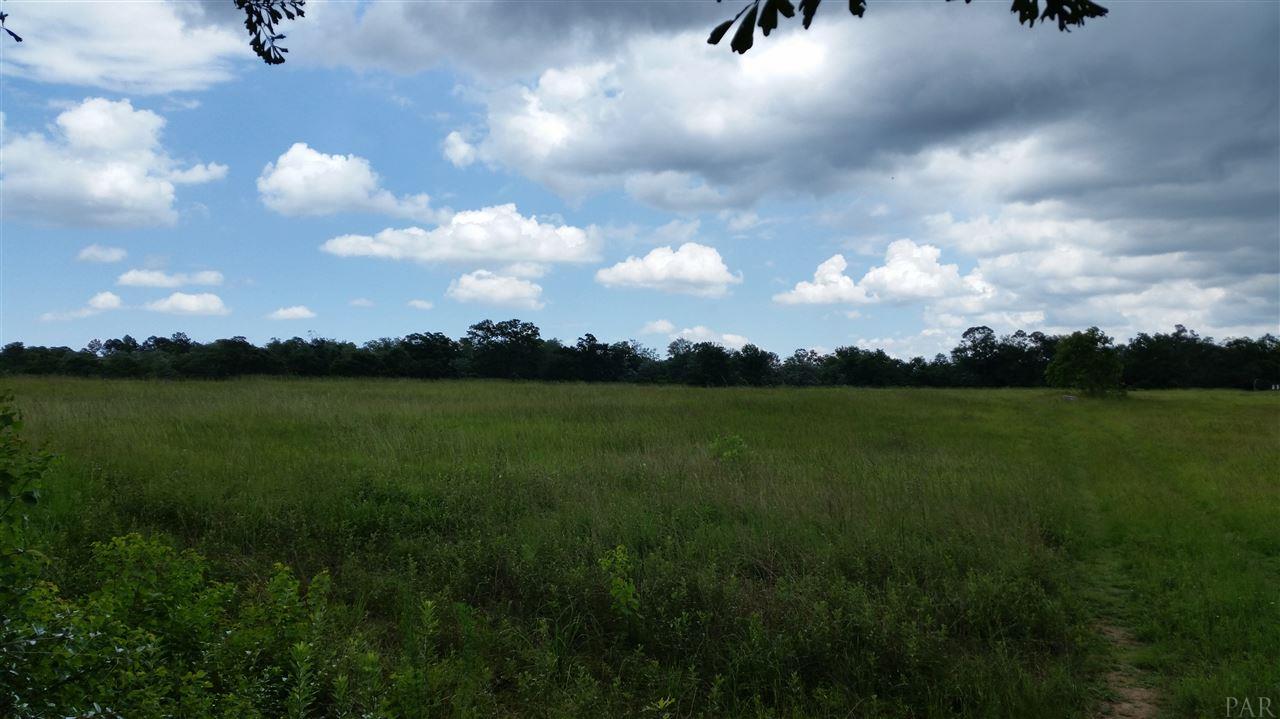 0 SCHAAG RD, Molino, FL 32577