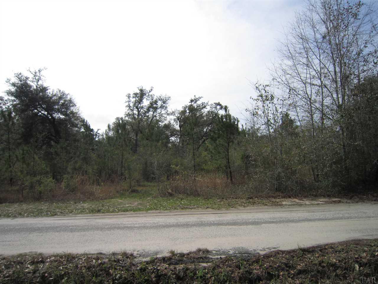 7061 RICHARD LN RD, Milton, FL 32583