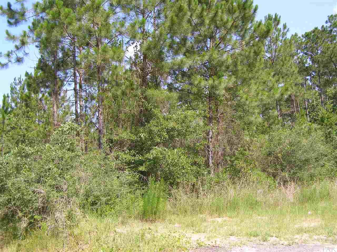6582 BLACKWATER CIR, Milton, FL 32583