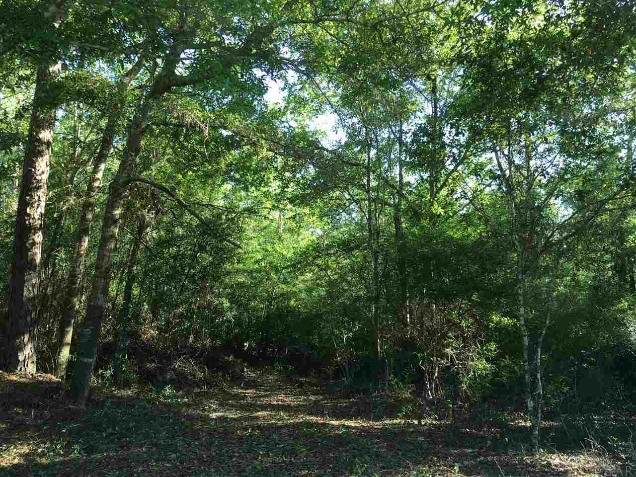 0 WARD BASIN RD, Milton, FL 32583