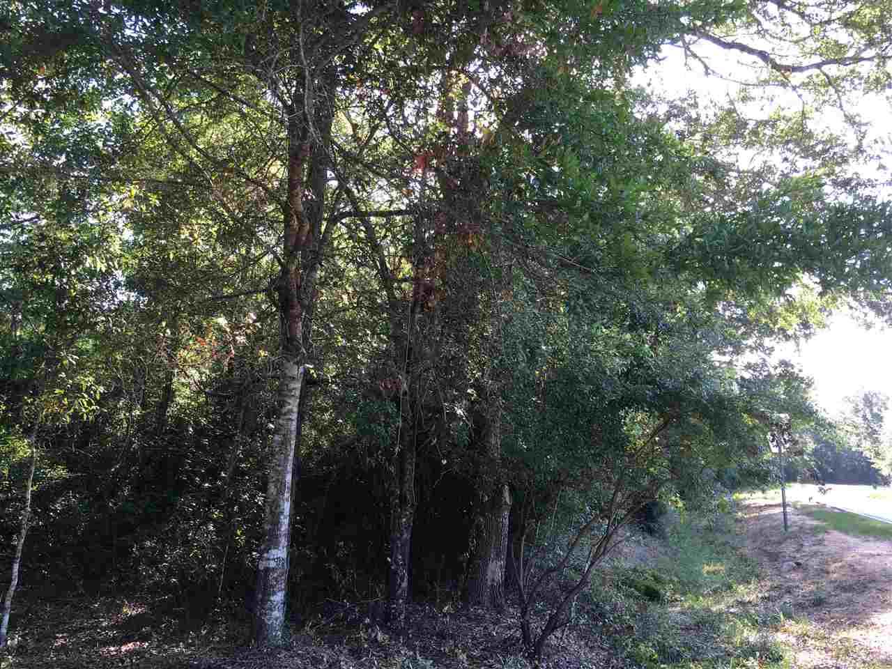 0 WARD BASIN RD, Milton, FL 32583