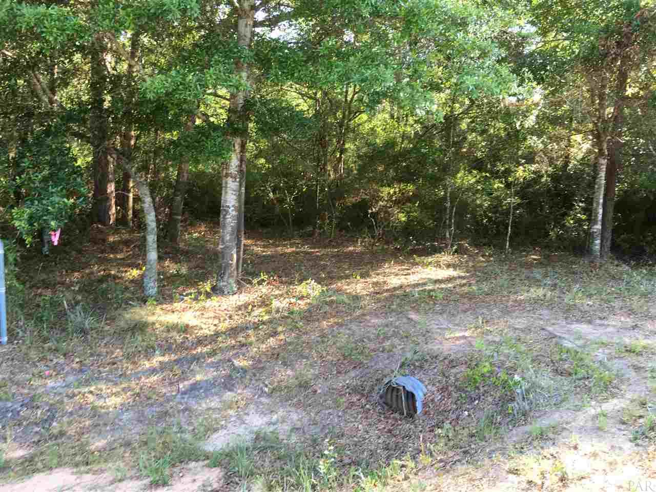 0 WARD BASIN RD, Milton, FL 32583