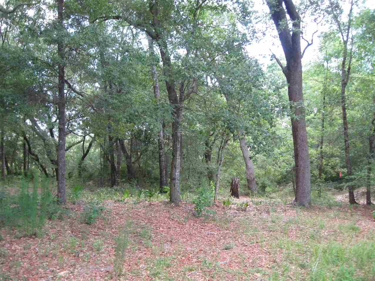 0 SPANISH CT, Milton, FL 32583