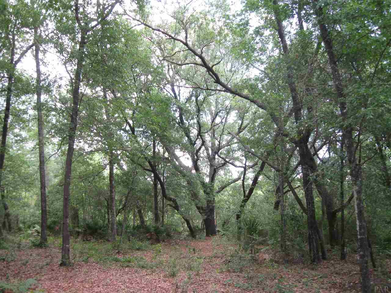 0 SPANISH CT, Milton, FL 32583