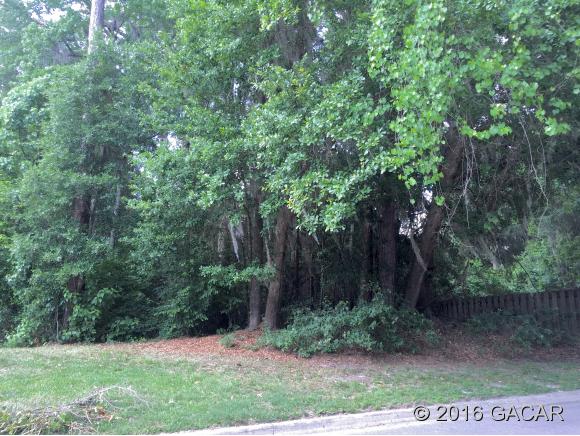 1722 Northwest 17th Lane, Gainesville, FL 32605