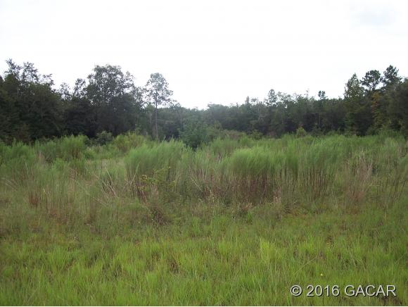 3817 Northeast 159th Place, Gainesville, FL 32609