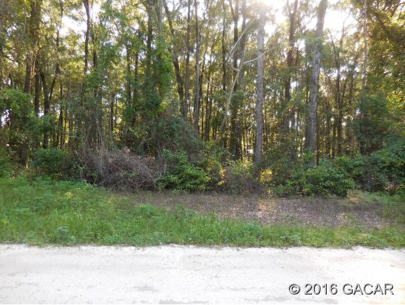 12774 Northwest 196th Terrace, Alachua, FL 32615