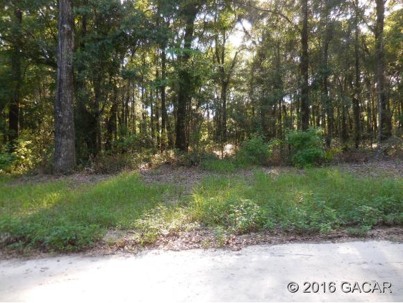 12774 Northwest 196th Terrace, Alachua, FL 32615