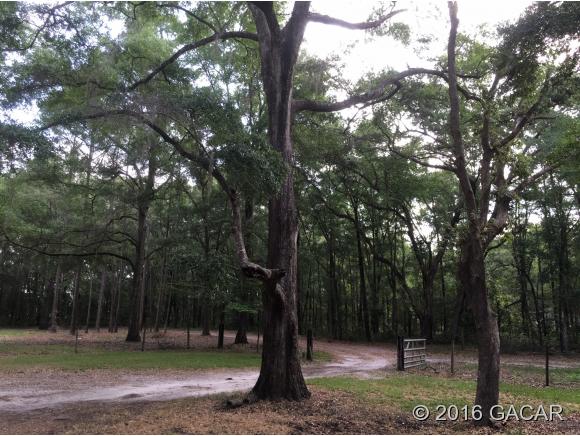 24607 Northwest 90th Place, Alachua, FL 32615