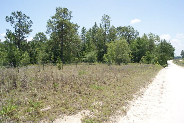 TBD 25th Ave, Bell, FL 32618