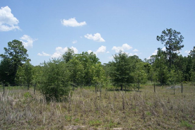 TBD 25th Ave, Bell, FL 32618