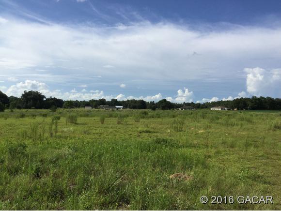 0 Northeast 105th Street, Bronson, FL 32618
