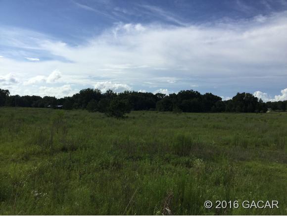 0 Northeast 105th Street, Bronson, FL 32618