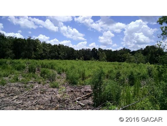 0000 Southwest 45th Road, Archer, FL 32618