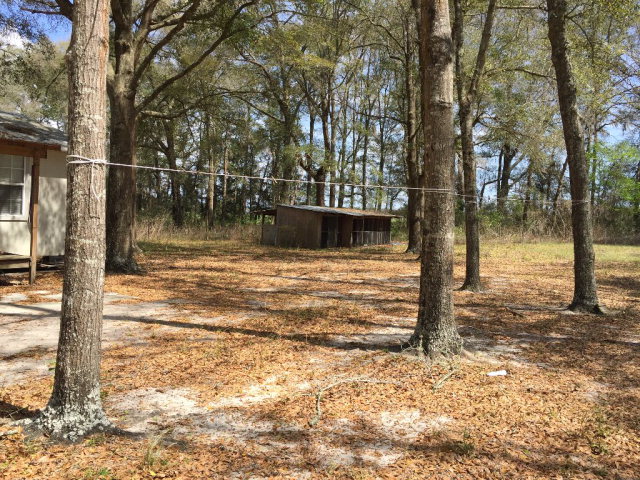 3060 County Road 341, Bell, FL 32619