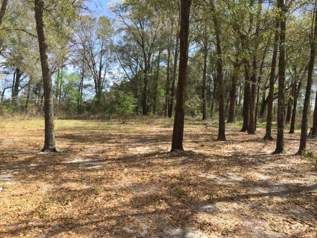 3060 County Road 341, Bell, FL 32619