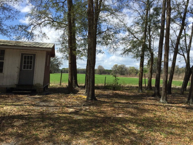 3060 County Road 341, Bell, FL 32619