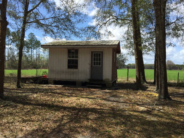 3060 County Road 341, Bell, FL 32619