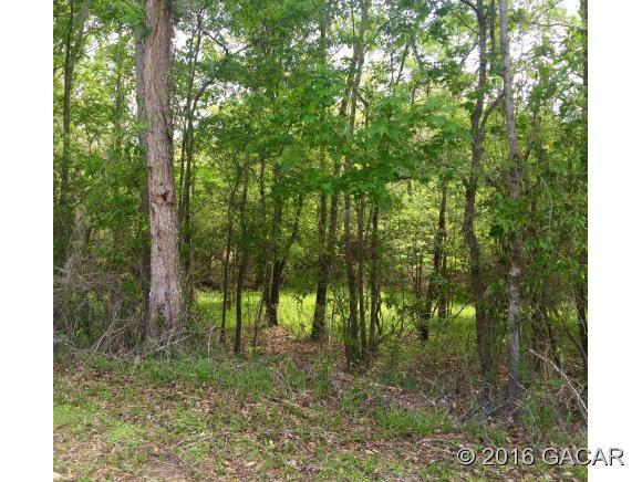 TBD Northwest 82 Terrace, Bell, FL 32619