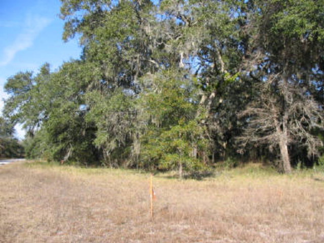 Lot 76th Terr, Bell, FL 32619