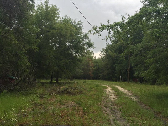 6460 21st Ave, Bell, FL 32619